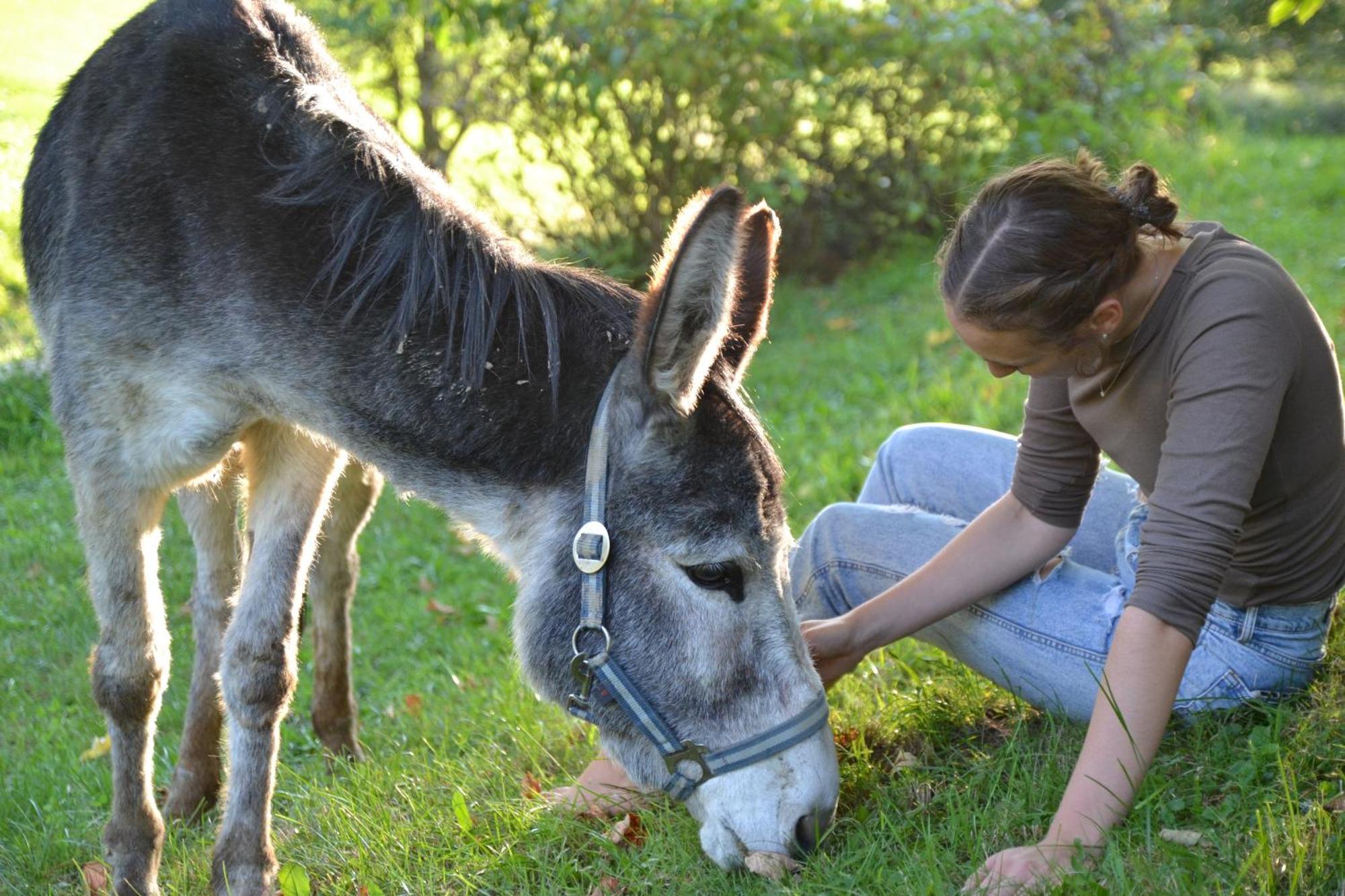 Ferienstadl - Hammerau Göstling an der Ybbs Exterior foto